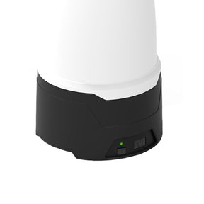 IK SPRAYERS e Foam Pro 2
