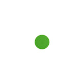 CARTEC Tampone Lucidatura Unipad Spugna Verde Scuro – Platorello Ø1"/30mm - Sup.* 50x23mm